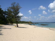 񂳂̃Ebp}r[`()̓eʐ^1