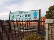 ˂񂳂̐̂߂݊كANAi̓eʐ^5