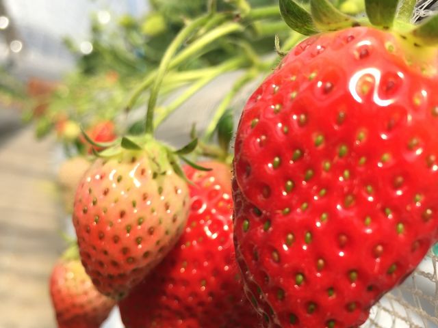 nEX͒gAC`S͂ƂĂÂłB܂KvȂł_}삢_