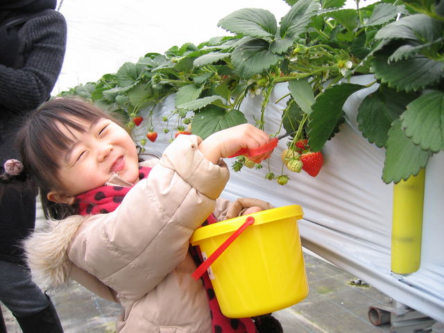 ���������_�����e���X