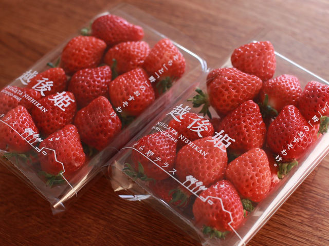 �����e���X�̉z��P_�����e���X