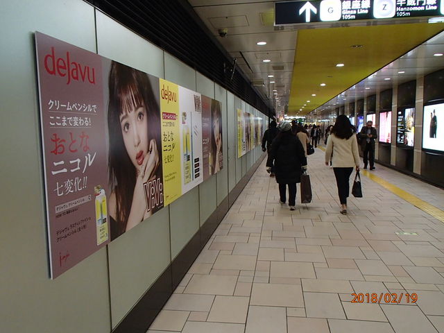 �n���ʘH�̍L��_�\�Q���w