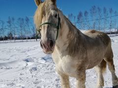 ̂葾ỸTCvf[Xւ̓eʐ^1