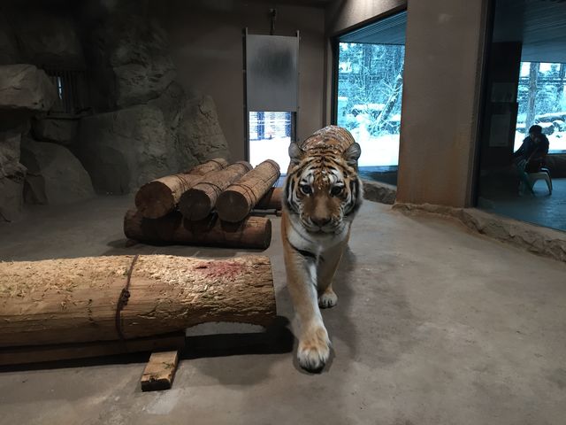 ���͂���܂�_�~�R������