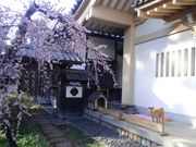 GT����ُ̗ˉ@�̓��e�ʐ^1