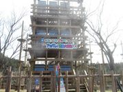 ߋT|~̕ɌWH̓eʐ^2