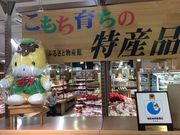 tam-tam̃^v^v̓̉w Hn̓eʐ^1