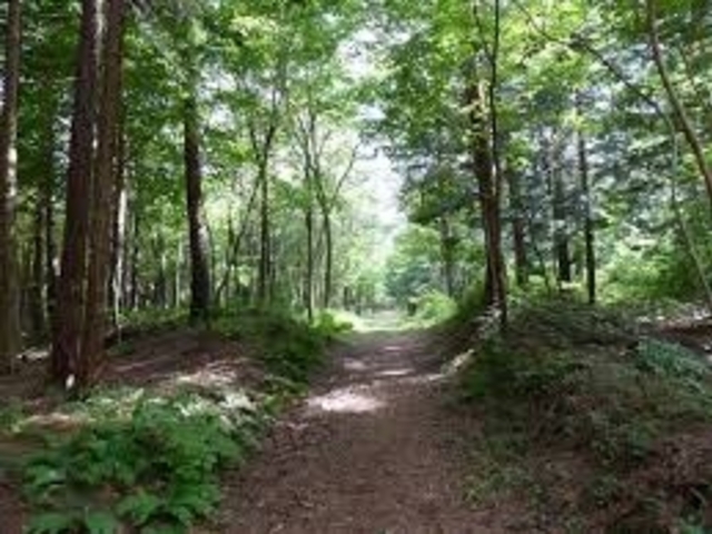 cJ擙X͂̏Zl̐MBō ^̓eʐ^1