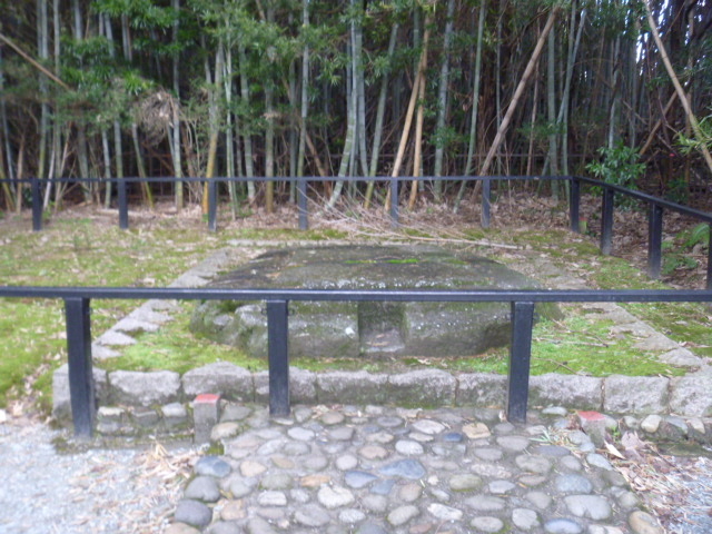 �S�̘�_�S��ઁE�S�̐�B