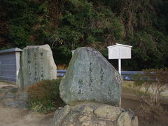 ^{剤̕󌵎ւ̓eʐ^1