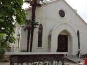 �g�����\����̐_�˃o�v�e�X�g����̓��e�ʐ^1