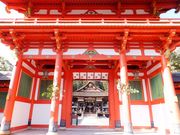 ���ڂ炳��̑咹�_�Ђ̓��e�ʐ^3