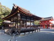 ���ڂ炳��̑咹�_�Ђ̓��e�ʐ^7