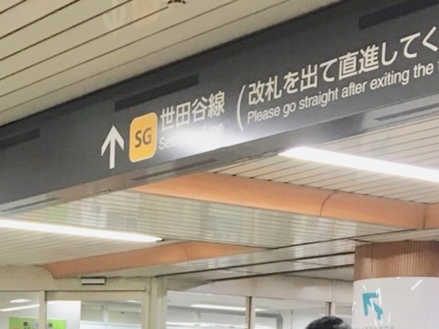 �O�������w_���}�c���s�s���O�������w