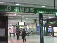 ���Ƃ��񂳂�̂i�q���͌��w�ւ̓��e�ʐ^1