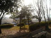 Ƃ񂳂̌ܗ̃PL˂̓eʐ^3