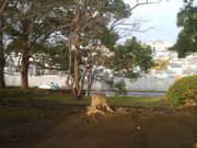 Ƃ񂳂̌ܗ̃PL˂̓eʐ^4