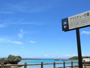 �����񂳂�̃A�}�~�`���[�̕�̓��e�ʐ^3