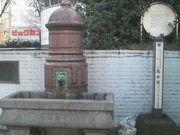 Ƃ񂳂̔n(݂Ȃ̐j̓eʐ^1