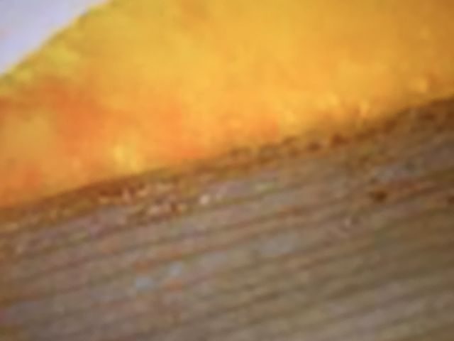 XC[cIXX_hg[R[q[Vbv_ˎO{X