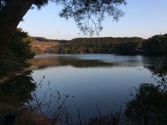 tam-tam̃^v^v̖xΌLvւ̓eʐ^1