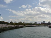 �݂݂���̖єn���V�{�����̓��e�ʐ^1