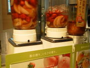 Ђ݂̃xWeA JRÉ^JV}X̓eʐ^1