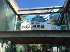 cJ擙X͂̏Zl̓Ȗ،Ȃ퐅Vւ̓eʐ^1