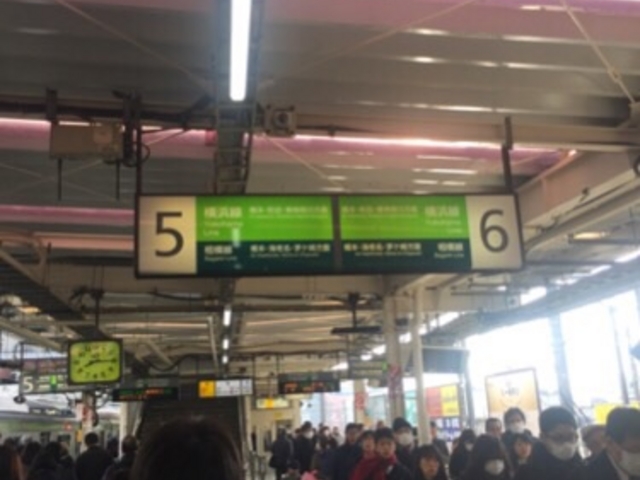 �z�[���̗l�q�ł��B_�i�q�����q�w