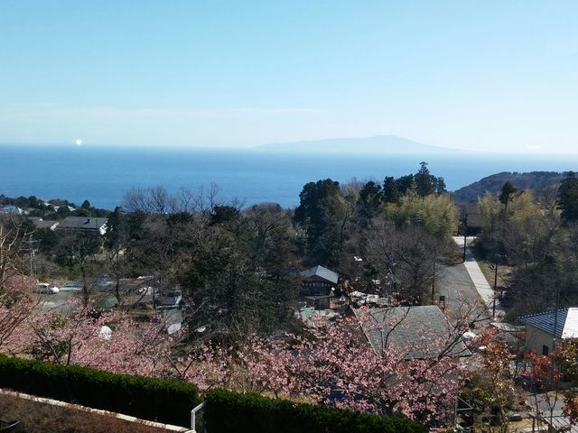 �i�F���ǂ��ł�_���@�����p��