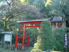 񂲂̃TN̏@ւ̓eʐ^1