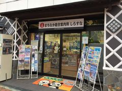 ��������񂳂��(���)��I���l�ό�����ւ̓��e�ʐ^1