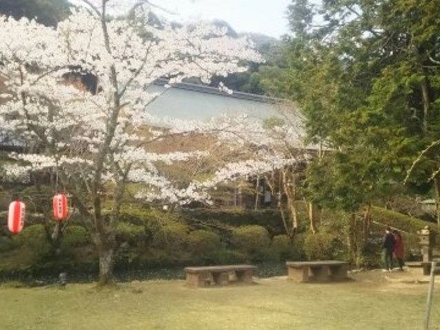 ���ʂ�����̑�J���^������̓��e�ʐ^1