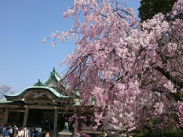 �L���_�Ђƍ�_�L���_��