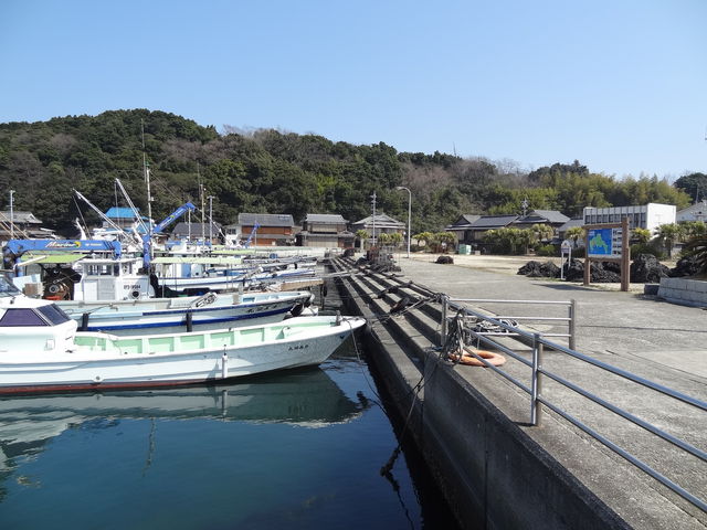 �命�{�����`_������������D