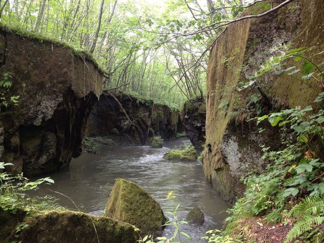 ���̓��͐��ʂ����������ł�_�M�O�K���[