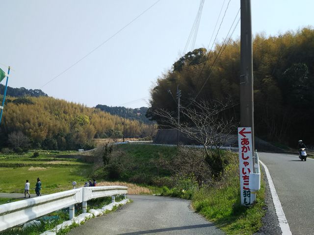 �̂ǂ��ȏꏊ�ɂ���܂�_��������̂�������