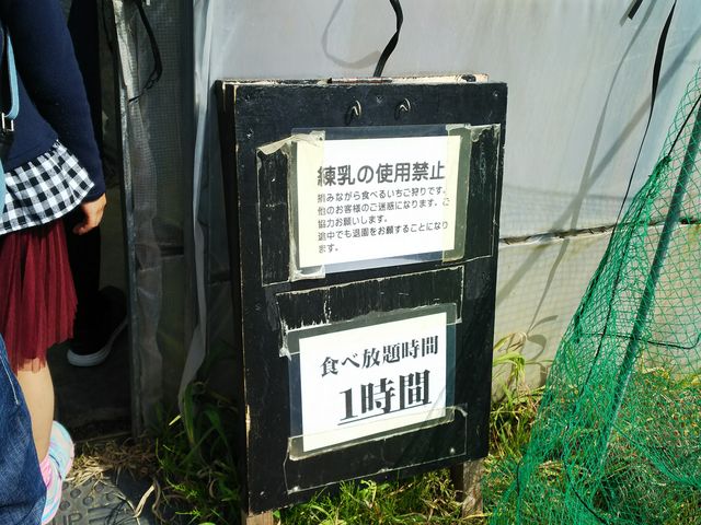 �����Ȃ��őS�R�C�P�܂��I_��������̂�������