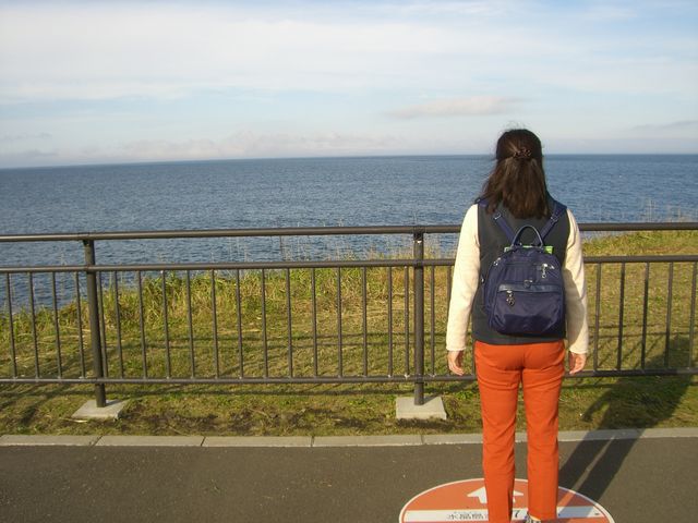 �����΂񑁂��z�����݂܂�_�[���z��