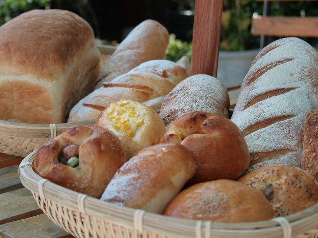 ���˂Ő��������͂����肱�񂾖������͂�p��_NPO��I�����{��̂ӂ邳�Ƒ�