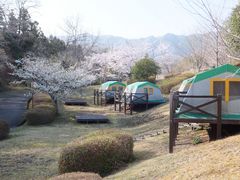 こぼらさんの岩倉峡公園キャンプ場の投稿写真6
