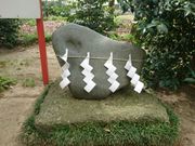 e񂳂̏_ЁiV{_Ёj̓eʐ^5