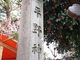 シルっちさんの平野神社への投稿写真4