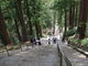Yoさんの身延山の千本杉への投稿写真4