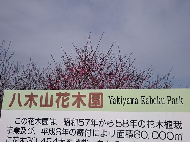 ŔƔ~_؎RԖ؉iђˎsj