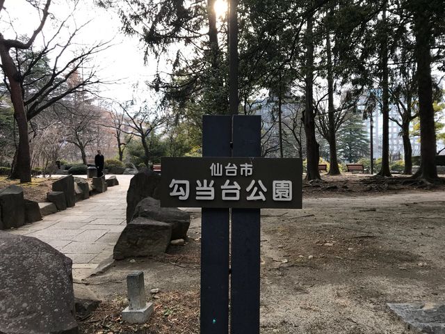 ����T���Ւn�̌���_���������