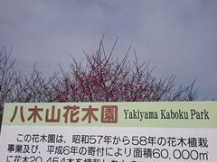 ܂܂̔؎RԖ؉iђˎsjւ̓eʐ^1