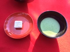 nama����̋Ղ��������ւ̓��e�ʐ^1