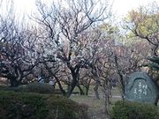 ܂܂̔~юO̔~̓eʐ^1