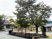 usa̔ˌÐ܂ق̓eʐ^1